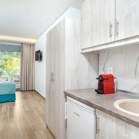 شقة فندقية Maria Elena لايميناس